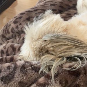 Meet your Posher, Reneasha